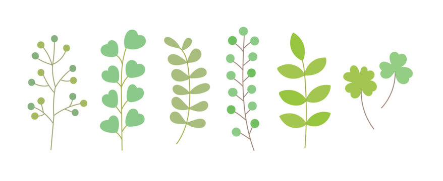 Set of hand drawn illustrations of various fresh green plant leaves. Eucalyptus, clover, four-leaf clover, fruit.