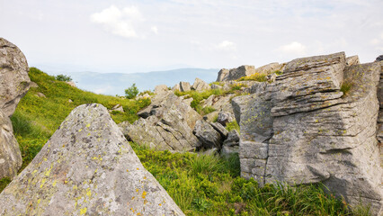boulders and rock formations on the grassy meadow. mountainous nature scenery in summer on a sunny forenoon