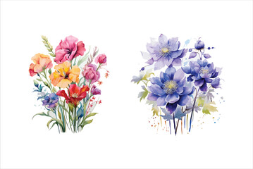 watercolor floral Vector design