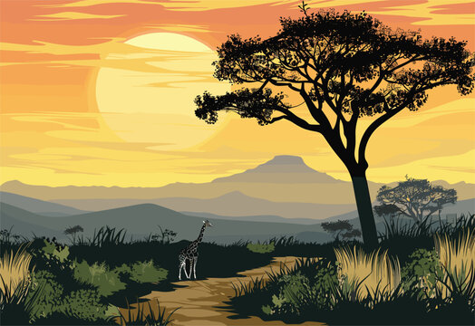 An artistic depiction of a giraffe gracefully standing under a tree in a natural landscape at sunset, with the sky filled with glowing afterglow and fluffy clouds