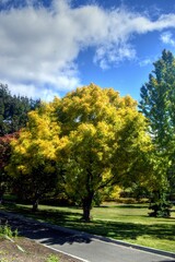 Hobart, Tasmania, Australia