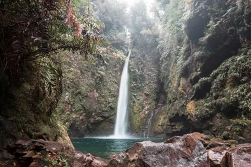 Foto op Plexiglas Waterfall in Chile © Galyna Andrushko