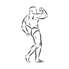 Obraz na płótnie Canvas Posing bodybuilder, isolated vector silhouette, ink drawing