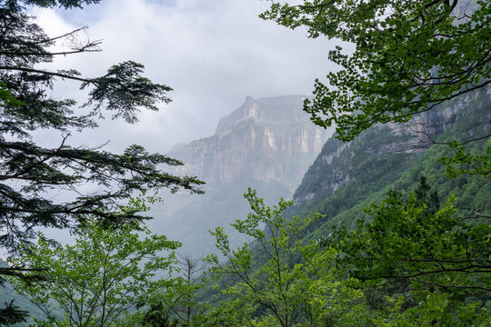Lush green foliage frames the majestic cliffs of Valle de Ordesa under a misty sky in the Ordesa y Monte Perdido National Park