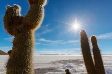 Gordijnen Cactus in Bolivia © Galyna Andrushko