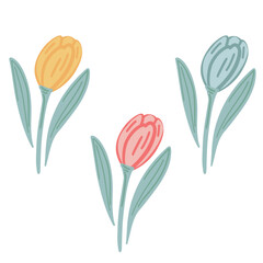 Tulips springtime flat design set