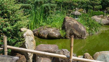 Emerald pond with fish and turtles in the Russian-Japanese Friendship Garden on Kurortny Prospekt in Sochi. Landscape architecture with elements of Japanese style and unique Japanese plants
