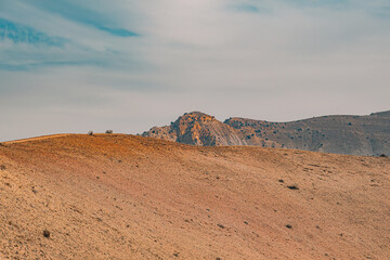 landscape in the desert