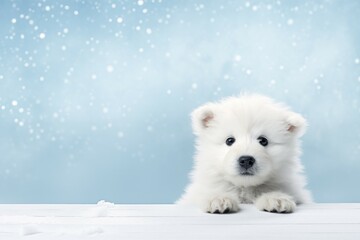 cute white bear on blurred soft blue and white color background for cute and relax design