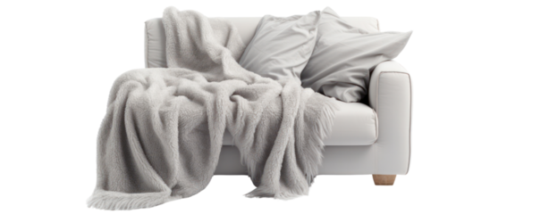 Light gray sofa, blanket, and pillow on white background