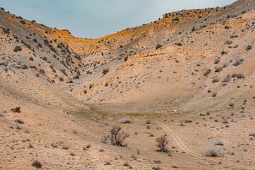 landscape in the desert