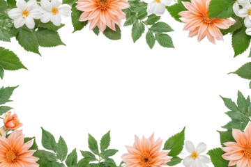 frame of flowers isolated on transparent background