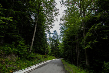 Obraz premium Summer in Uelhs Deth Joeu waterfall, Val D Aran, Spain