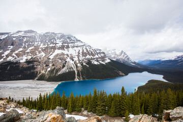 Summer landscape in Peyto lake, Banff National Park, Canada