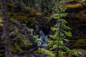 Summer landscape in Maligne Canyon, Jasper National Park, Canada