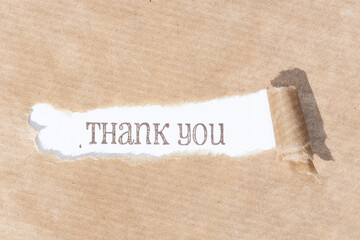 Thank you message. Brown paper torn stripe with text on white paper background