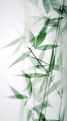 Soft Green bamboo on white for your design and wallpaper