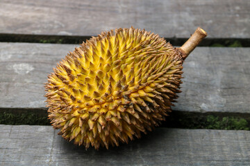 Yellow Durian Fruit on an Old Wooden Bench in Sarawak Borneo - 750595293
