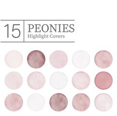 Peonies color palette Social Media Highlights round watercolor stains