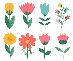 Set of vector flowers, hand drawn in flat style. Isolated on white background.