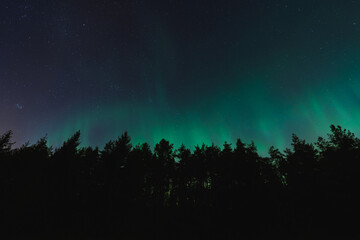 Fototapeta na wymiar Night scene in Estonia, silhouettes of trees against the background of the starry sky and northern lights.
