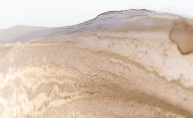 Fototapeta premium Luxury abstract fluid art alcohol ink technique: bronze, silver, metallic and gold color.