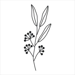 Fototapeta na wymiar Black silhouette of a plant branch. Flower branch in outline style hand drawn on isolated white background. Vector stock illustration. Minimal line art for print, cover or tattoo.