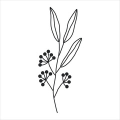 Fototapeta premium Black silhouette of a plant branch. Flower branch in outline style hand drawn on isolated white background. Vector stock illustration. Minimal line art for print, cover or tattoo.