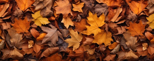 Colorful leaves are scattered around on the ground, large scale, top view, detailed texture. Autumn...