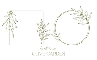 Olives Line Drawing. Black and white Olive Frame. Olive Wreath Isolated. Floral Line Art. Fine Line Olive  illustration. Black and white Olive Branches. Hand Drawn Olive. Wedding invitation greenery