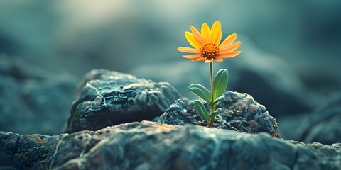 Yellow Flower Emerging from Rocky Aquamarine Landscape - Powered by Adobe