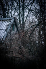 Abandoned house in the forest village at winter. Mystery landscape archittcture. Evening at village. Snow on the roof