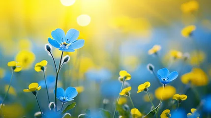 Foto op Plexiglas A small blue butterfly on a background of yellow © Rimsha