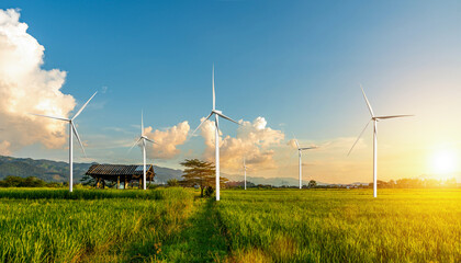 Green rice field with wind turbine at sunset sky background. Countryside landscape.