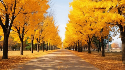 Alley in autumn park landscape fall yellow road