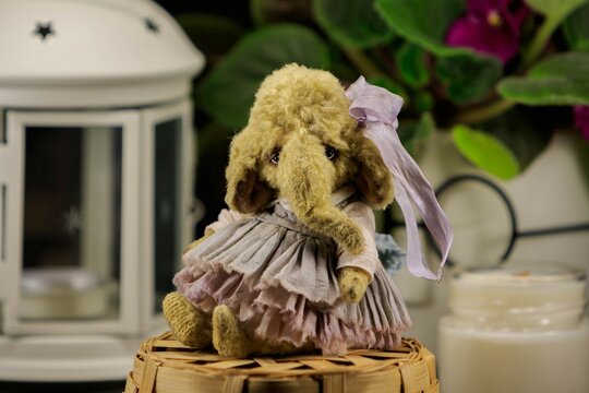 Teddy elephant 
