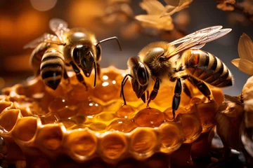 Wandcirkels tuinposter a bee on a honeycomb © Eduard