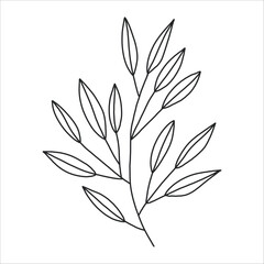 Fototapeta premium Black silhouette of a plant branch. Flower branch in outline style hand drawn on isolated white background. Vector stock illustration. Minimal line art for print, cover or tattoo.