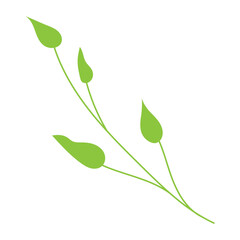 Obraz premium Leaf plant element for beautiful design. Simple form. Vector drawing.