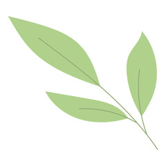 Leaf plant element for beautiful design. Simple form. Vector drawing.