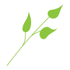 Leaf plant element for beautiful design. Simple form. Vector drawing.