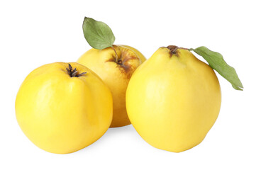 Fresh ripe quince fruits isolated on white