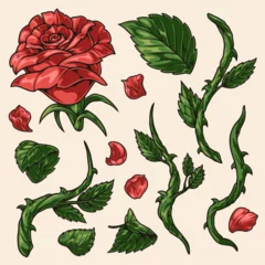 Fotobehang natural rose set logotypes colorful © DGIM studio