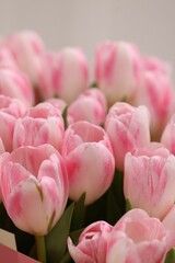 Fototapeta premium Beautiful bouquet of fresh pink tulips on blurred background, closeup