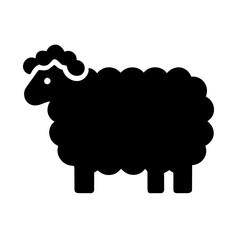 black sheep isolated on white