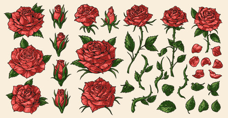 Seasonal roses colorful set stickers