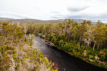 Tahune Airwalk in Tasmania Australia