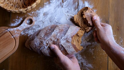 Man holds freshly baked bread, tearing off piece with anticipation. Breads crust crackles as he...