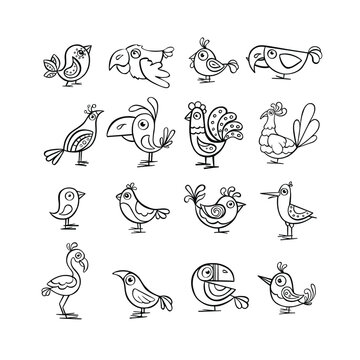 Large Set of outline illustrations of cute birds, vector