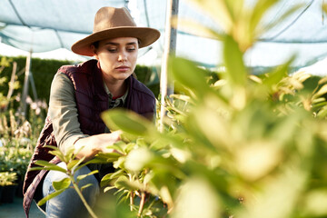 Caucasian botanists crouching among plants